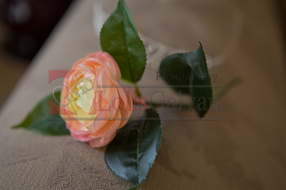 Julianna's  XV_0016