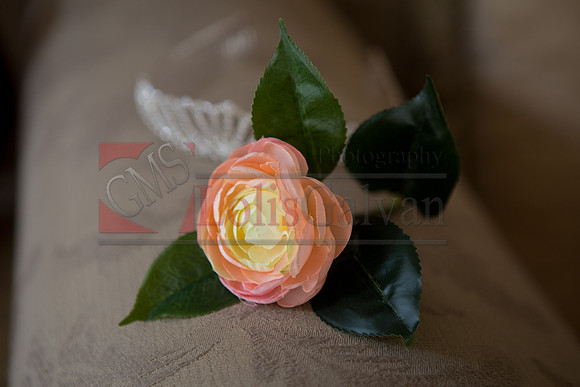 Julianna's  XV_0017