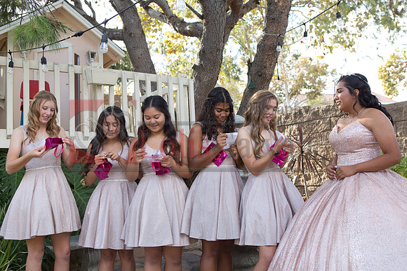 Julianna's  XV_0098