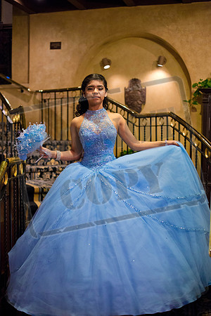 Daphne_Pre_0241