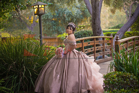 IMG_1996-Edit-Edit