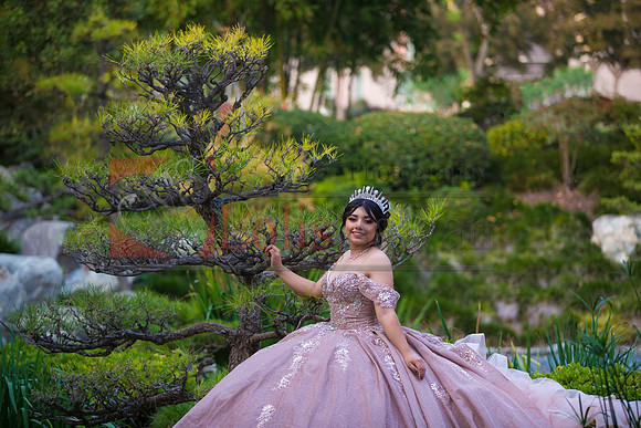IMG_2045-Edit