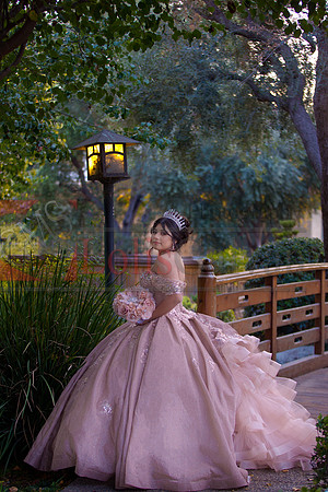 IMG_2009-Edit-Edit