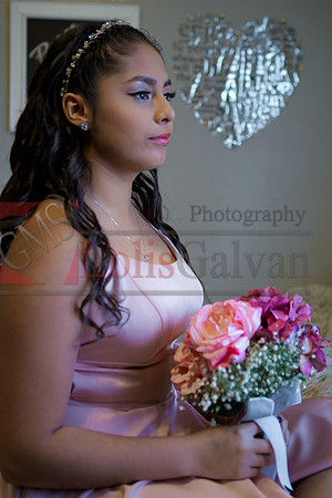 Emily XV_0096