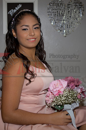 Emily XV_0097