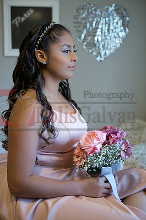 Emily XV_0101
