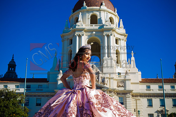 Rosa XV_0022