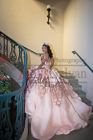 Rosa XV_0069