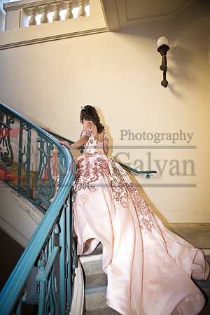 Rosa XV_0071