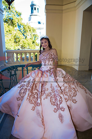 Rosa XV_0082