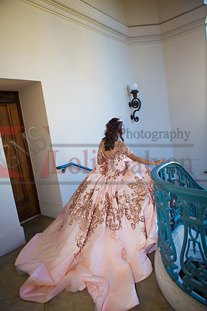Rosa XV_0085