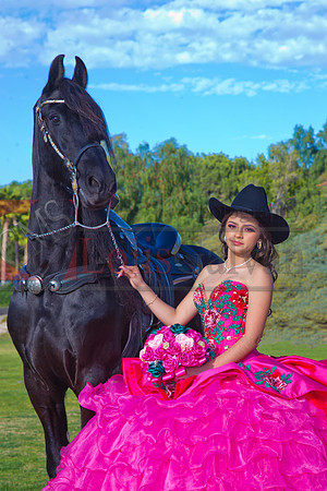 IMG_1751-Edit