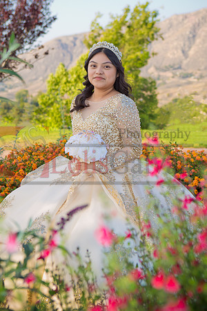 IMG_7397-Edit