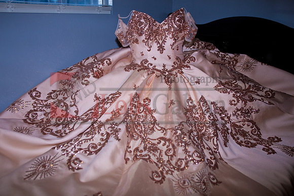 Samantha's XV_0039