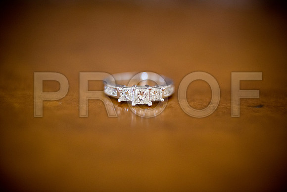 Liz_and_Michael_Event_0008