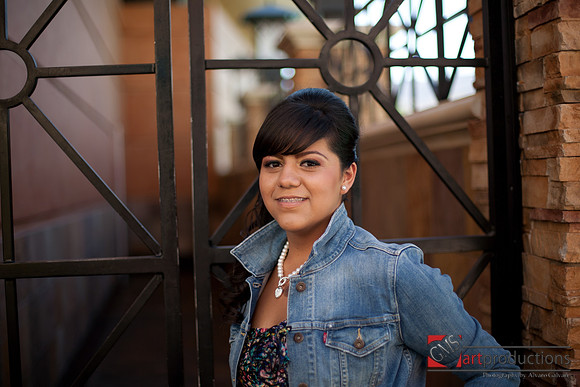 Norma_Pre_370