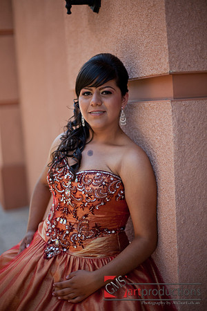 Norma_Pre_301