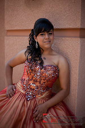Norma_Pre_310