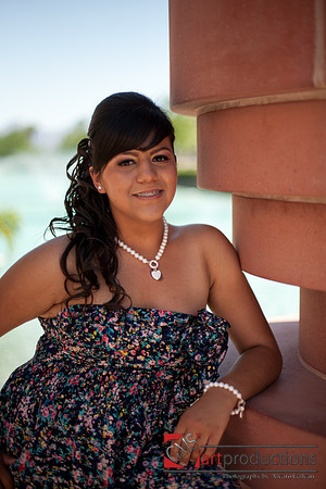 Norma_Pre_335
