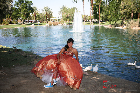 Norma_Pre_263
