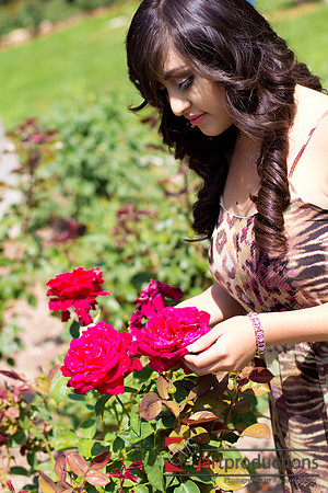 Angelica_Pre_033