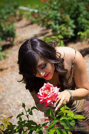 Angelica_Pre_041