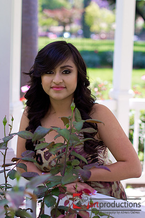Angelica_Pre_010