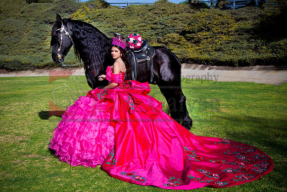IMG_1584-Edit-Edit