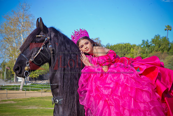 IMG_1670-Edit-Edit