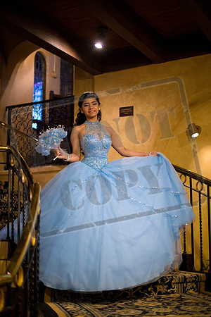 Daphne_Pre_0237