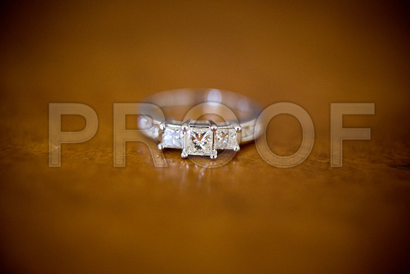 Liz_and_Michael_Event_0009
