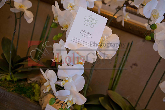 Weslie & Marissa Wedding _0023