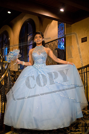Daphne_Pre_0238