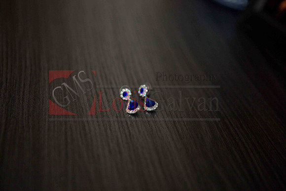 Gizelle Event_0026