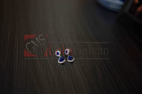 Gizelle Event_0027