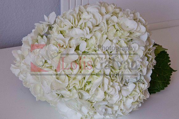 Gizelle Event_0060
