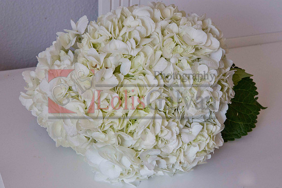 Gizelle Event_0061