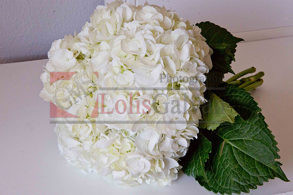 Gizelle Event_0062