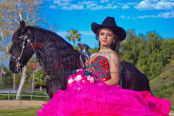 IMG_1788-Edit