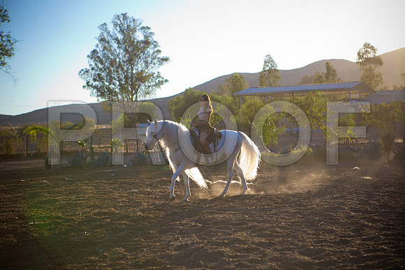 Sam_Pre_099