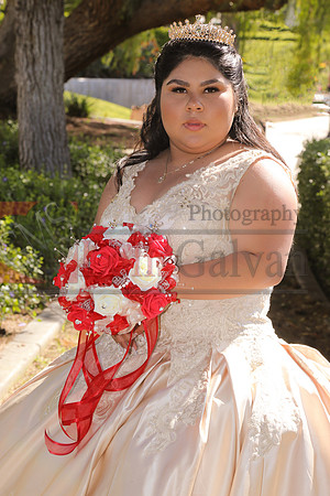 IMG_2071-Edit