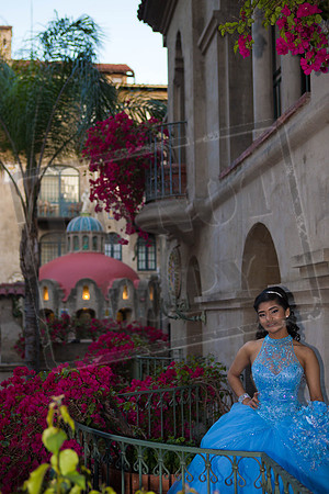 Daphne_Pre_0228