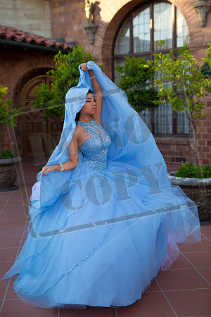 Daphne_Pre_0137