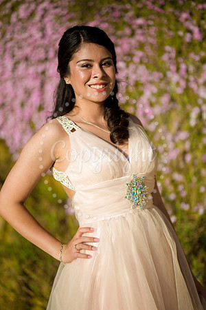 Ashley_Pre_084