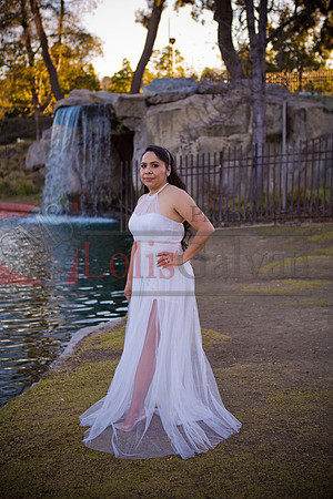 IMG_8694