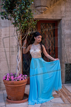 Daphne_Pre_0259