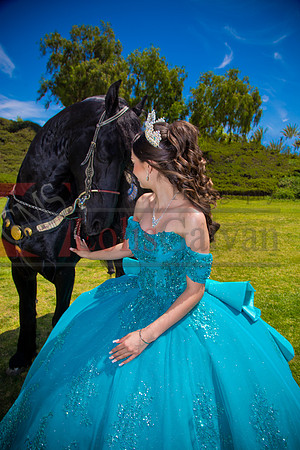 IMG_0865-Edit