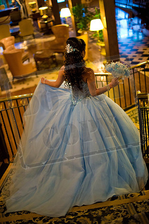 Daphne_Pre_0235