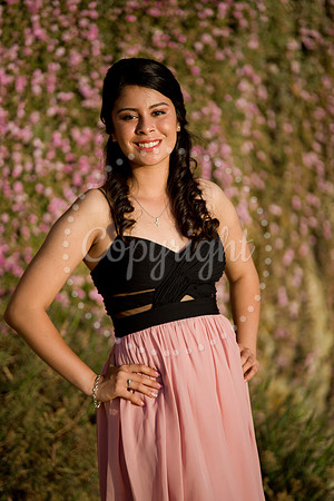 Ashley_Pre_116