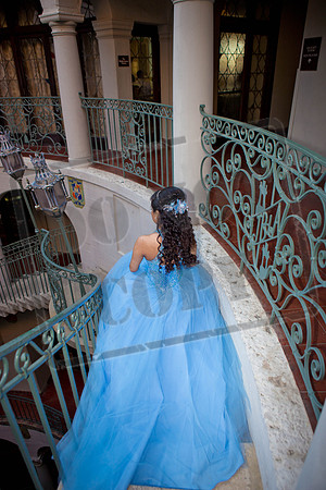 Daphne_Pre_0155